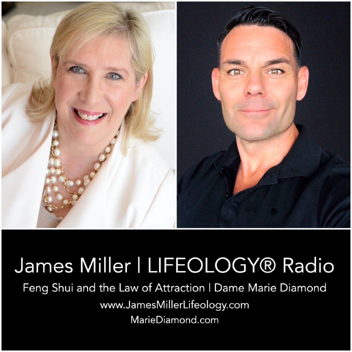 feng shui and law of attraction